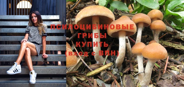 альфа пвп Армянск