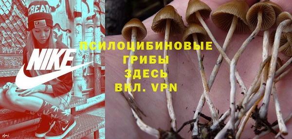 альфа пвп Армянск