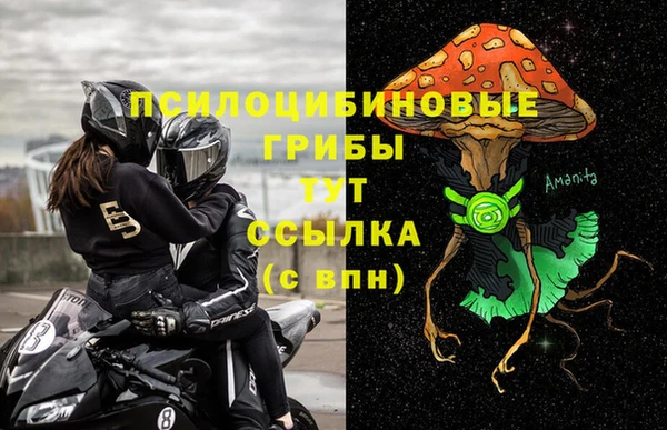 альфа пвп Армянск