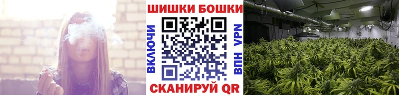 хочу Ишим Шишки марихуана MAZAR